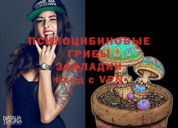 меф Алексин