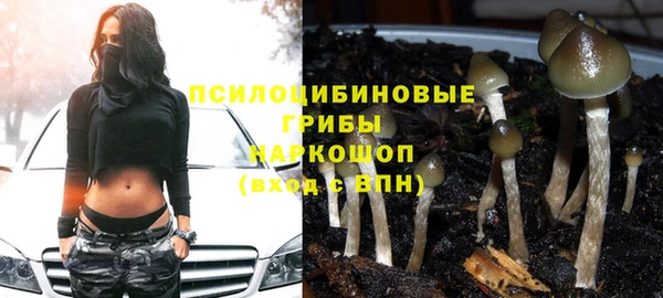 меф Алексин